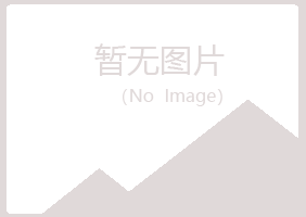 偏关县夏岚制造有限公司